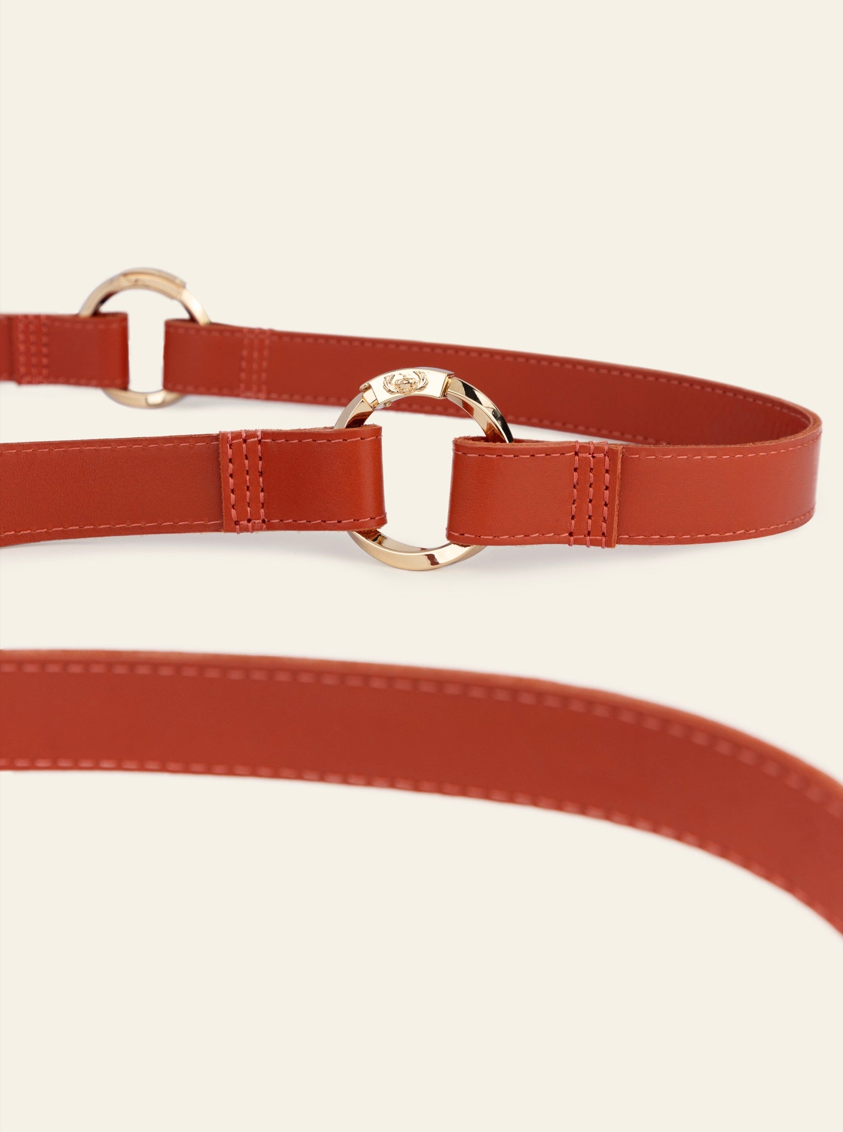 The Legacy Leash by Paw Fancy in Espresso Heritage Leather with brass EVO hardware
